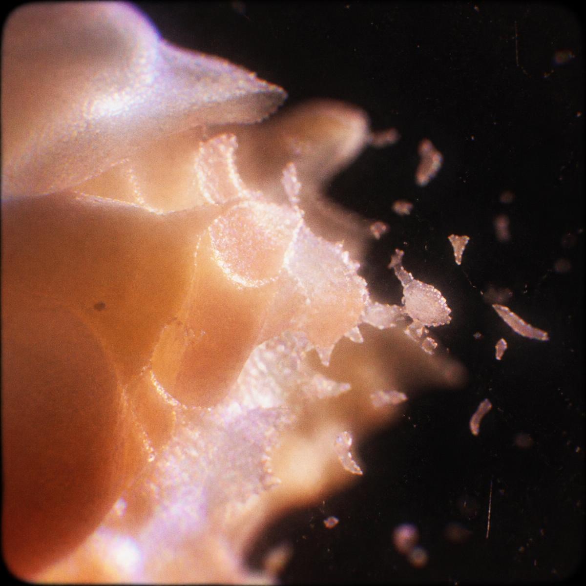 Frame 002